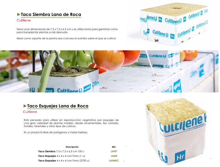 Taco Siembra Lana de Roca  y Taco Esquejes Lana de Roca