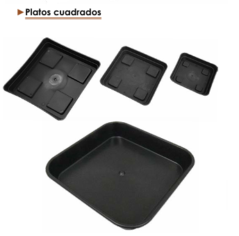 Platos Cuadrados