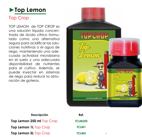 Top Lemon - Top Crop