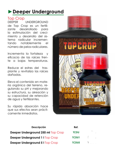 Deeper Underground -Top Crop
