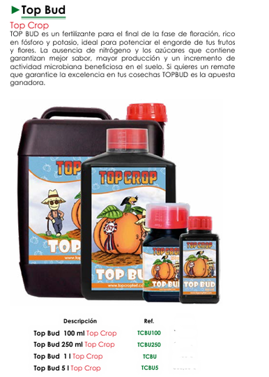 Top Bud - Top Crop