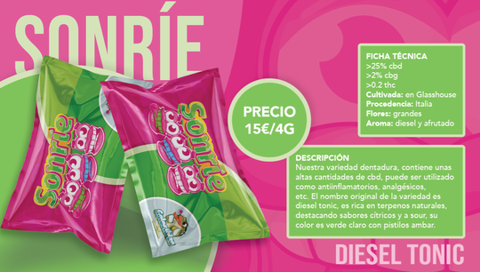 Diesel Tonic - Cultivo en Invernadero