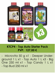 Top Auto Starter Pack
