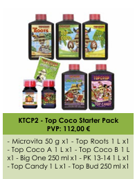 Top Coco Starter Pack