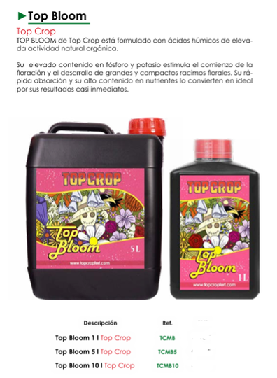 Top Bloom - Top Crop