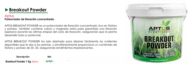 Breakout Powder - Aptus