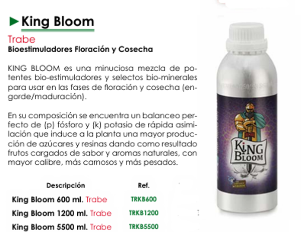 King Bloom - Trabe