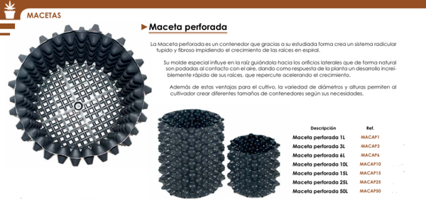 Maceta Perforada