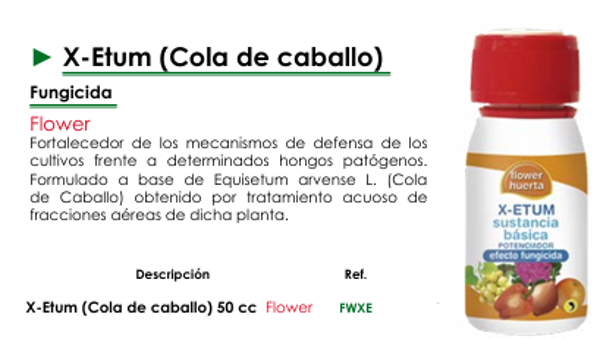 X-Etum (Cola de caballo)  Fungicida