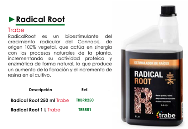 Radical Root - Trabe