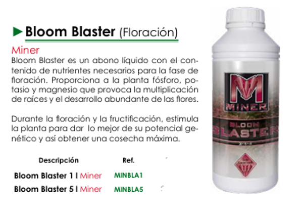 Bloom Blaster (Floración) - Miner