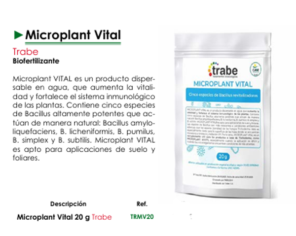 Microplant Vital - Trabe