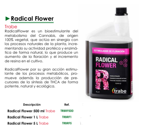 Radical Flower - Trabe