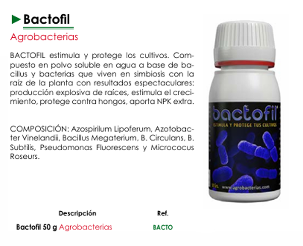 Bactofil - Agrobacteria