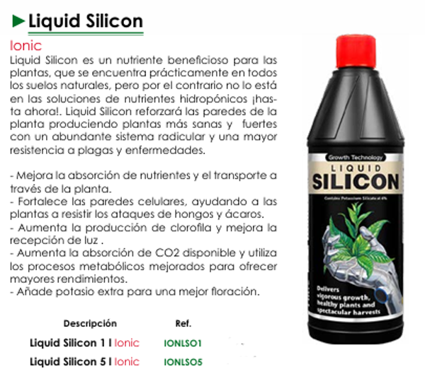 Liquid Silicon -  Ionic
