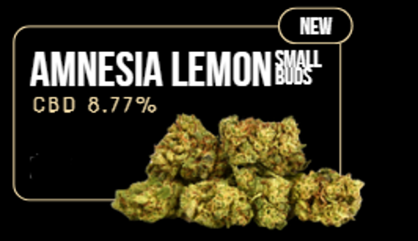 Amnesia Lemon Small Buds CBD - Flor Interior - Cultivo Interior