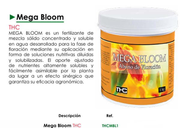 Mega Bloom - THC