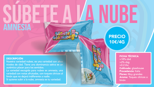 Amnesia: Súbete a una Nube de Bienestar Cítrico -  Cultivada en Invernadero