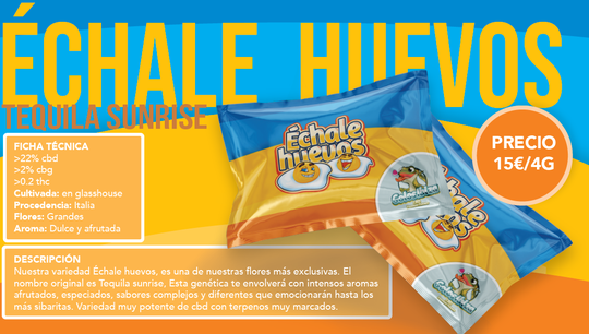 Tequila Sunrise: Una Exclusiva Explosión de Aromas Dulces y Afrutados -  Cultivada en Invernadero