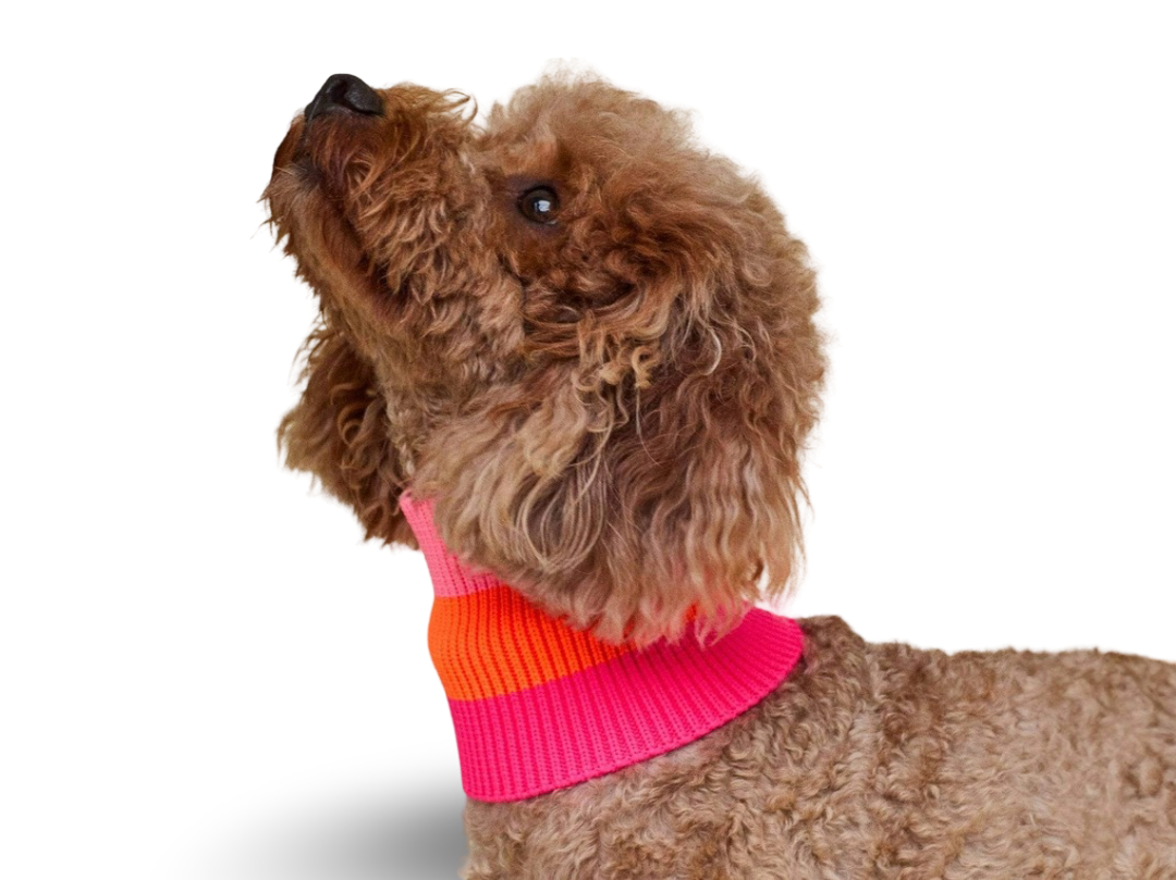 The Glow Loop - Sunny Tangerine