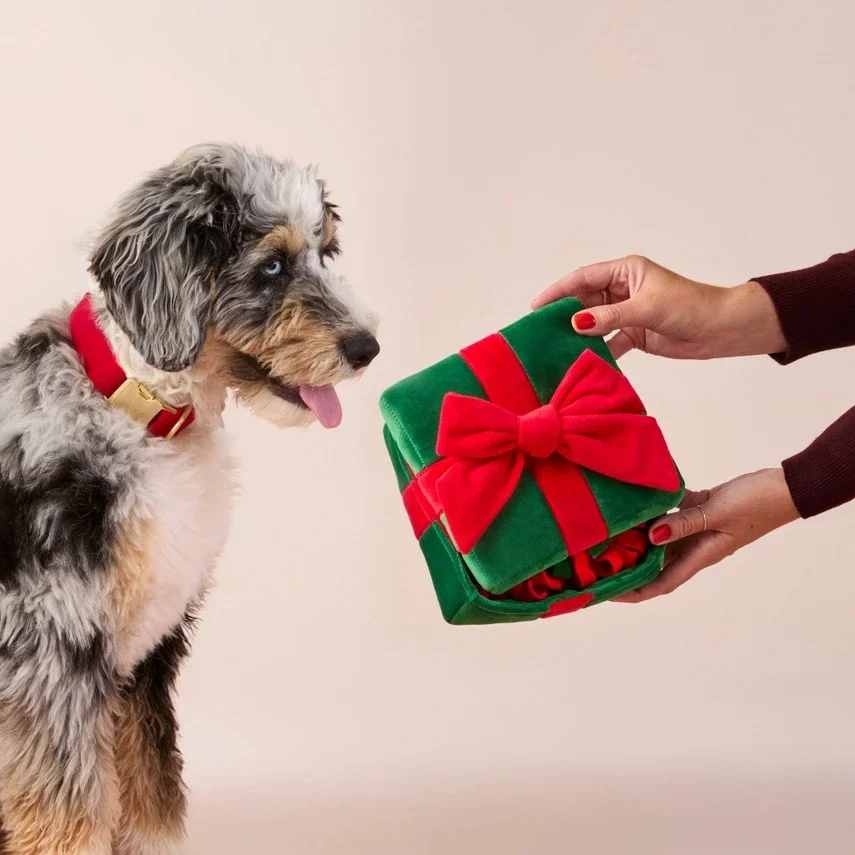 KERST - Holiday giftbox - interactive dogtoy
