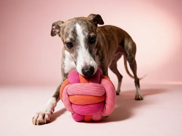 Berry Twist snuffelbal