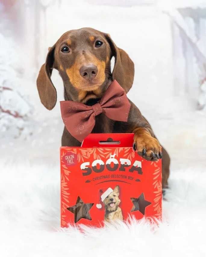 KERST - Dog treat Christmas selection box - cranberry and sweet potato