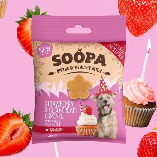 Hondensnoepjes met aardbei en cocosaus cupcake