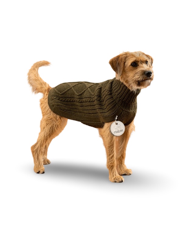 ALQO WASI - Alpaca Dogsweater Forest Green