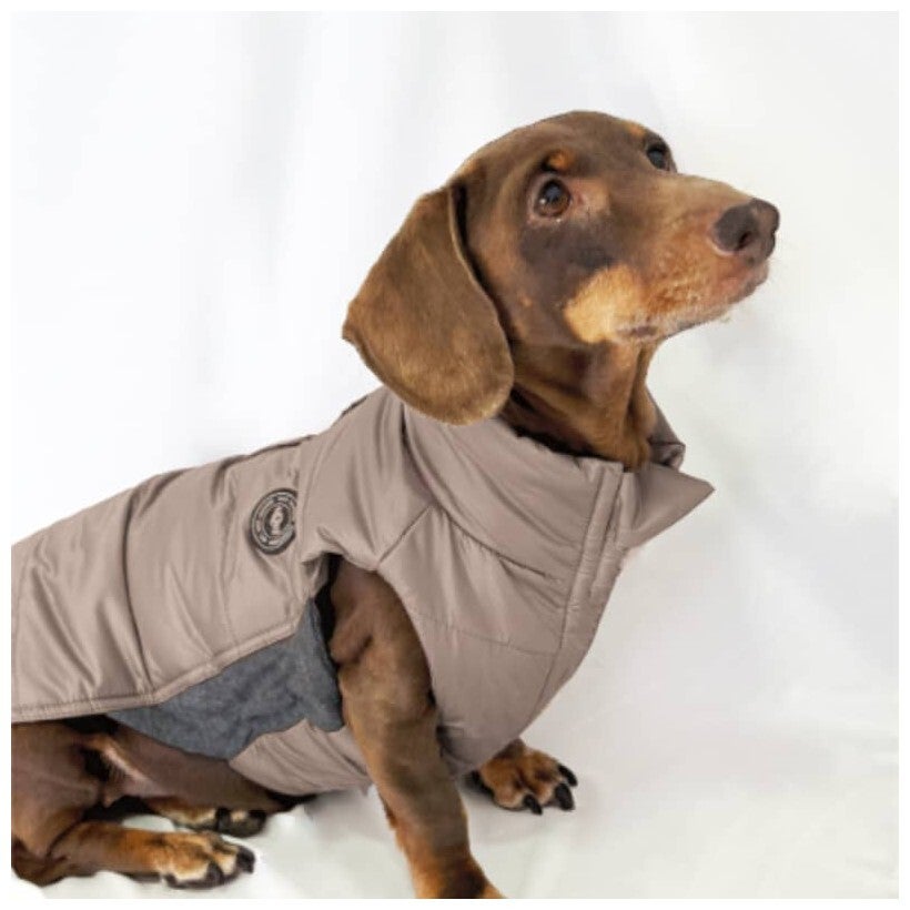 TQEL - Artic Taupe puffer dog coat