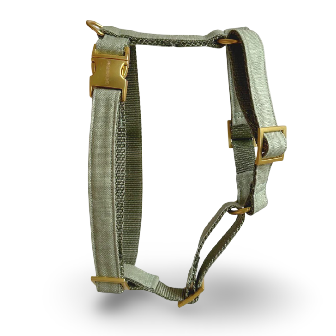 PRUNKHUND - Harnas/tuigje Basic Olive
