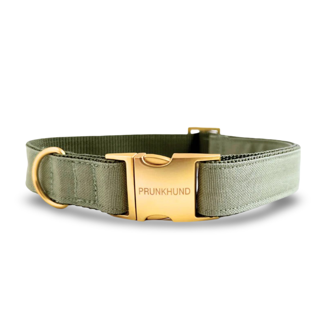 PRUNKHUND - Halsband Basic Olive