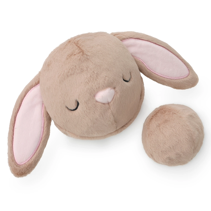 Bunny 2-in-1 Bounce Dogtoy