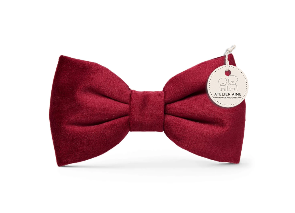Burgundy Velvet Dogbow