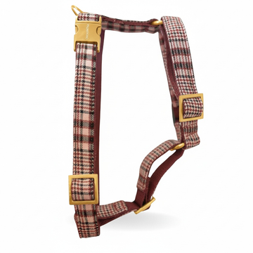 PRUNKHUND - Harnas/tuigje College Ruby