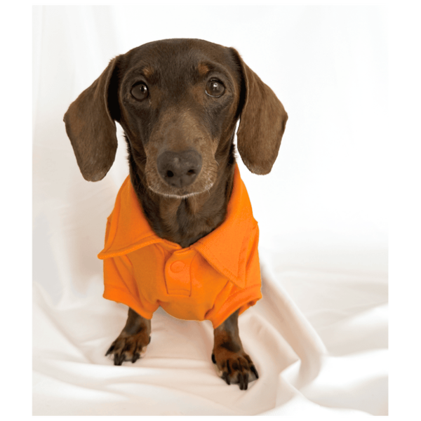 TQEL - Polo Classic Orange