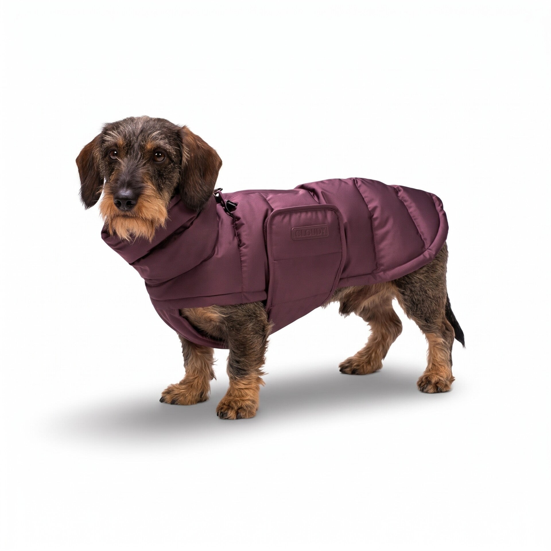 CLOUD 7 - Wintermantel - Alaska Dark Aubergine