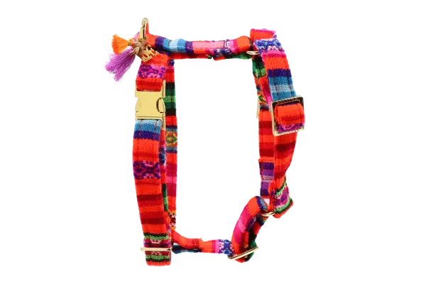 PELLINA - Tuigje Laavida Neon Orange