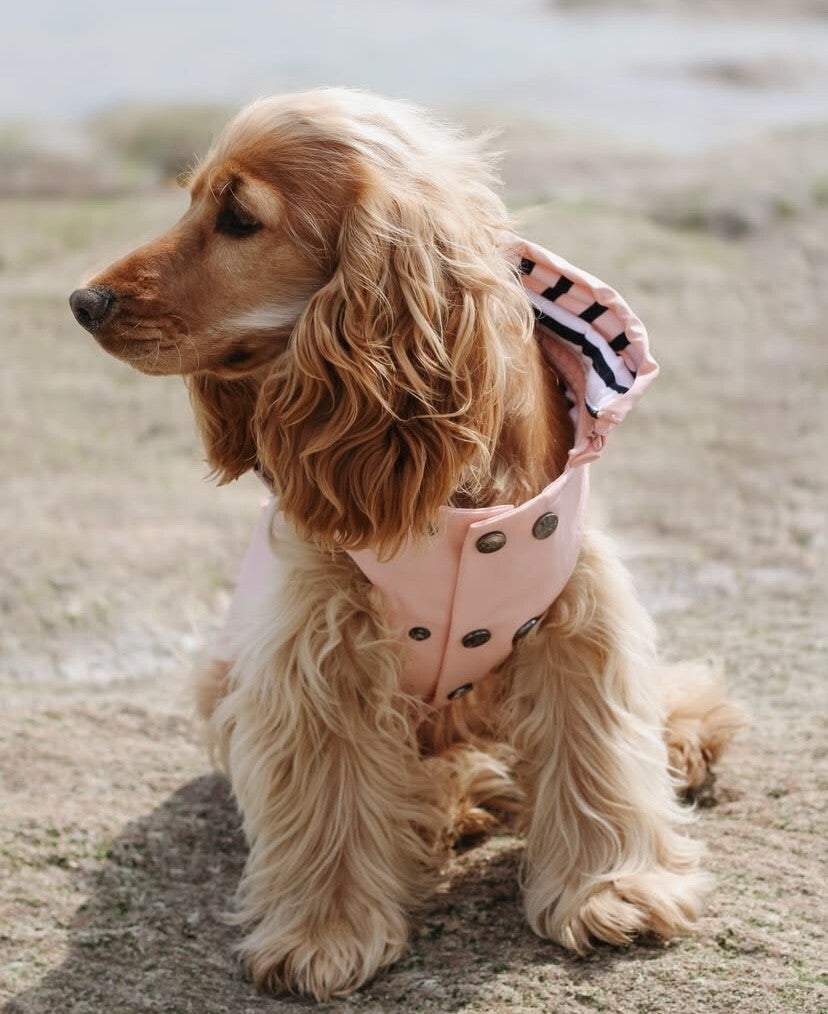 MILK AND PEPPER - Regenjas met afneembare kap - Rose