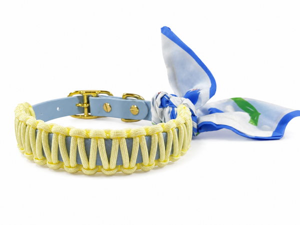 Foulard Collar - Lemon Blues