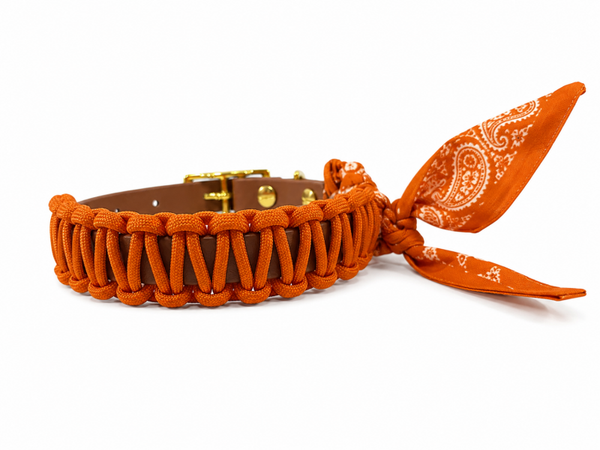 Foulard Collar - Solar Orange