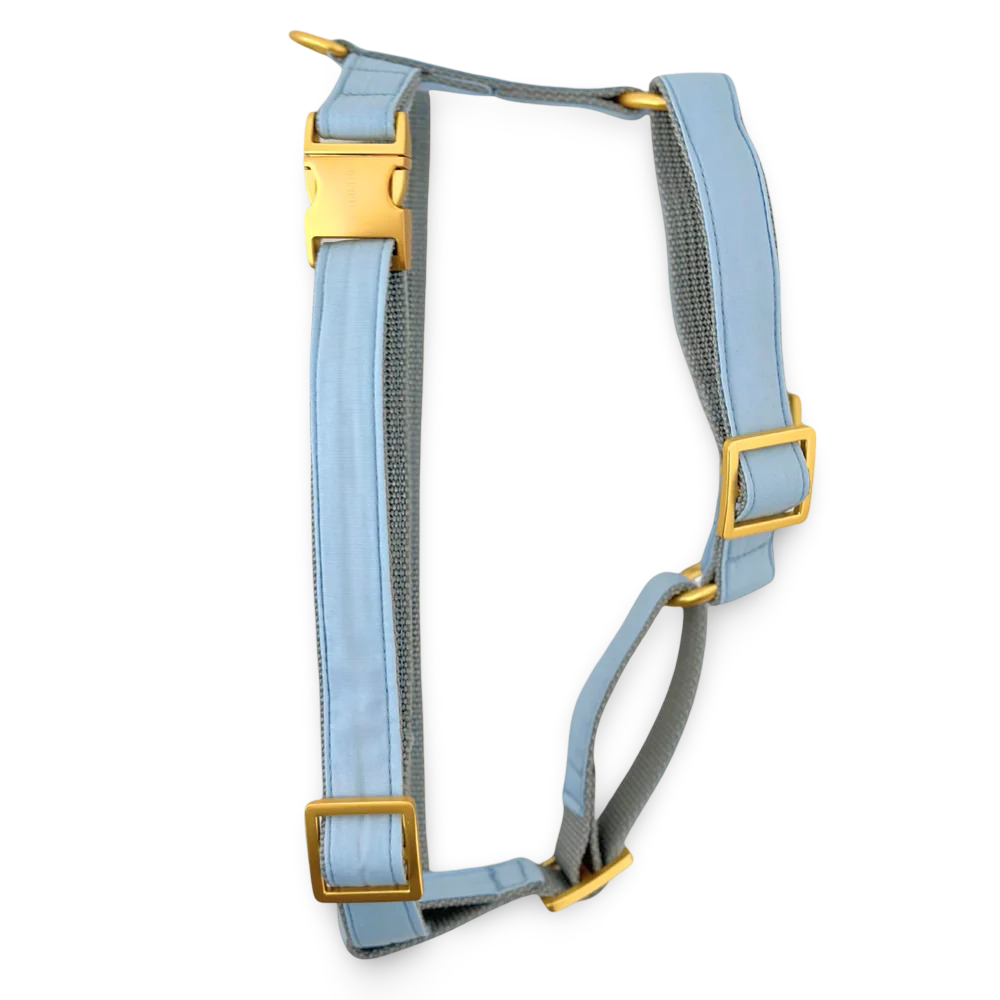 PRUNKHUND - Harnas/tuigje Cotton Blue