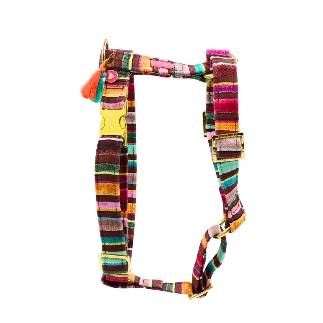 PELLINA - Tuigje Rainbow Cocoa