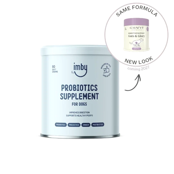 Probiotics Supplement