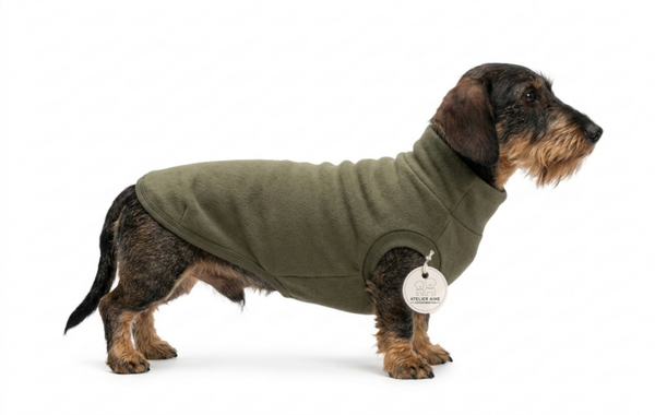 TQEL - Hudson Green sweater