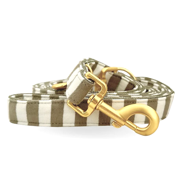 PRUNKHUND - Leiband Lido Olive
