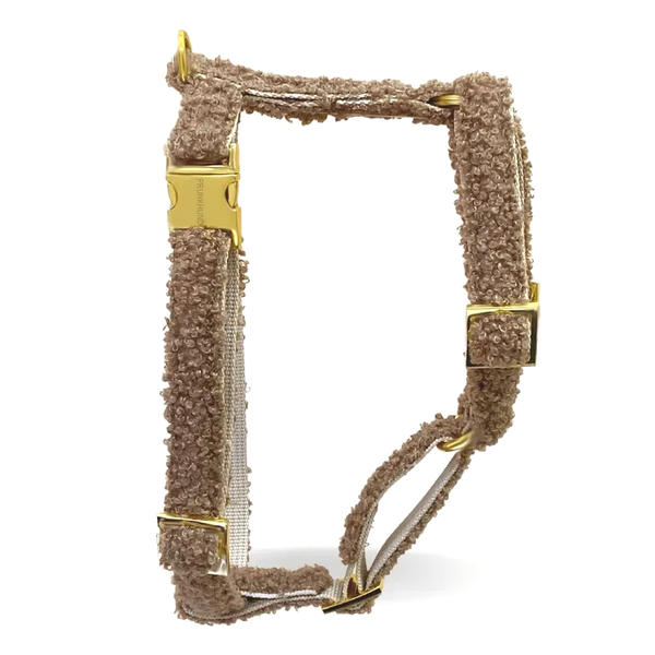 PRUNKHUND - Harnas/tuigje Teddy Tan