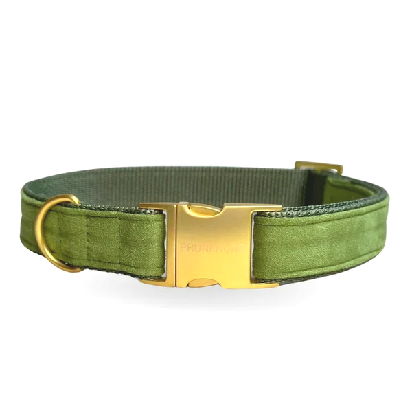 PRUNKHUND - Halsband Green Velvy
