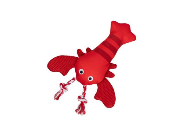 Feeling Clawsome - Floating dogtoy