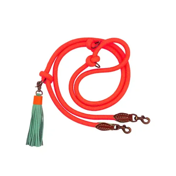 Extra lange en verstelbare hondenriem Carrot Cake